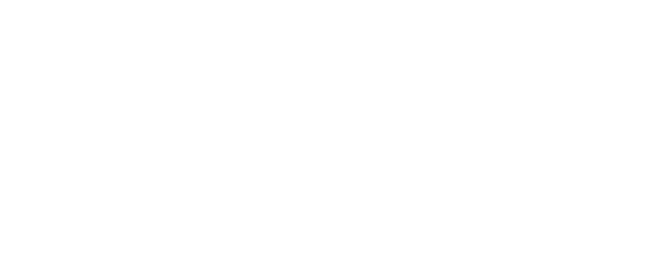 OAB Amazonas Logo